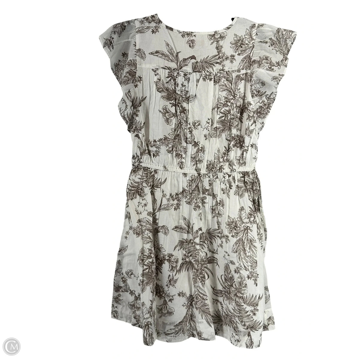 Dress Casual Short By Loft In Brown & White, Size: Mp